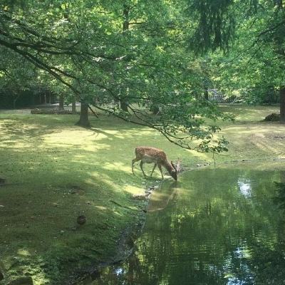 《经济半小时》 20240909 构建高水平社会主义市场经济体制：重大技术攻关 民企勇挑大梁