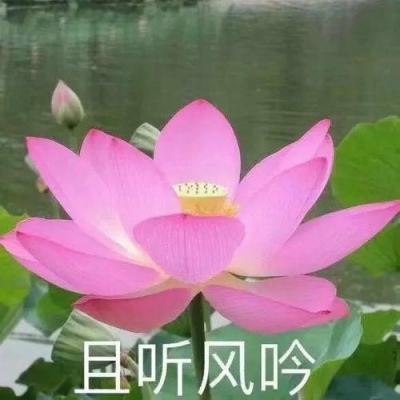 西部（重庆）科学城打造智慧未来城