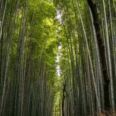 余茂春对话戴博：美中关系两种思路的碰撞 | 纵深视角